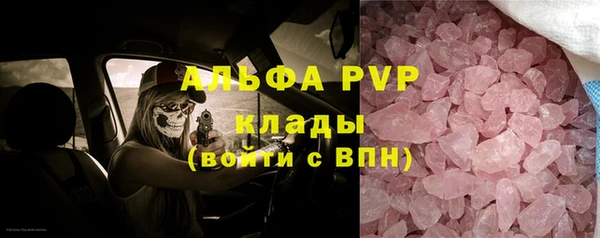 твердый Арсеньев