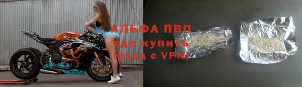 твердый Арсеньев