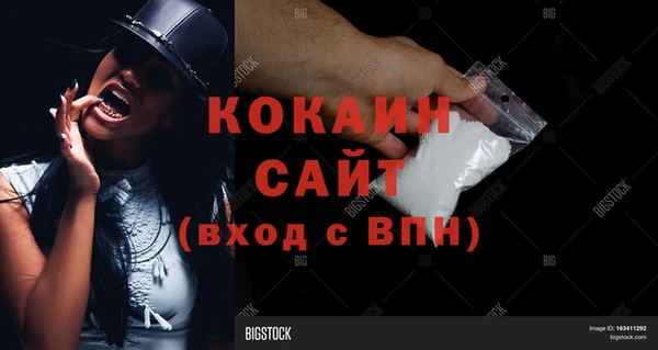 твердый Арсеньев