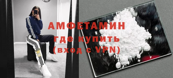 твердый Арсеньев