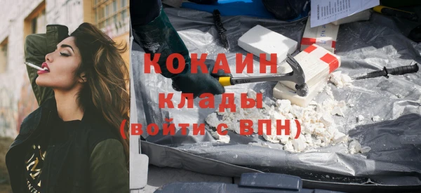 твердый Арсеньев