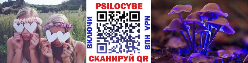 закладки  Порхов  маркетплейс Telegram  Псилоцибиновые грибы мухоморы 