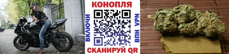 Бошки марихуана сатива Порхов